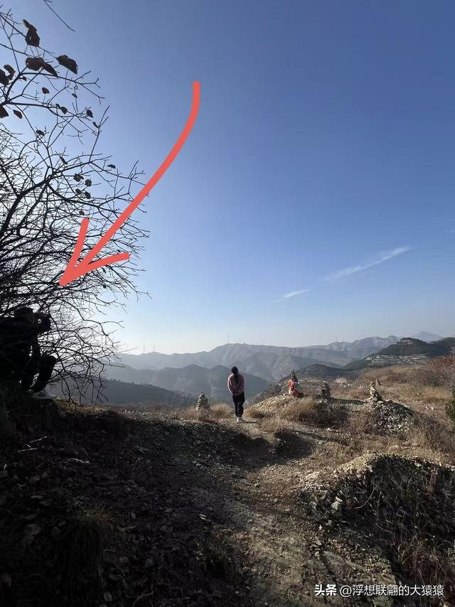 游赏过九鼎山后，我又跑到一户院里“强买”了大爷种在路边的白菜