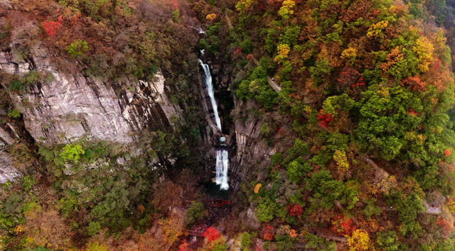 The Qinling Mountains in painted splendor｜秦岭彩叶大赏，美到“巅峰”