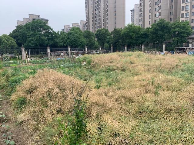 江阴这些园林，你逛过了吗？