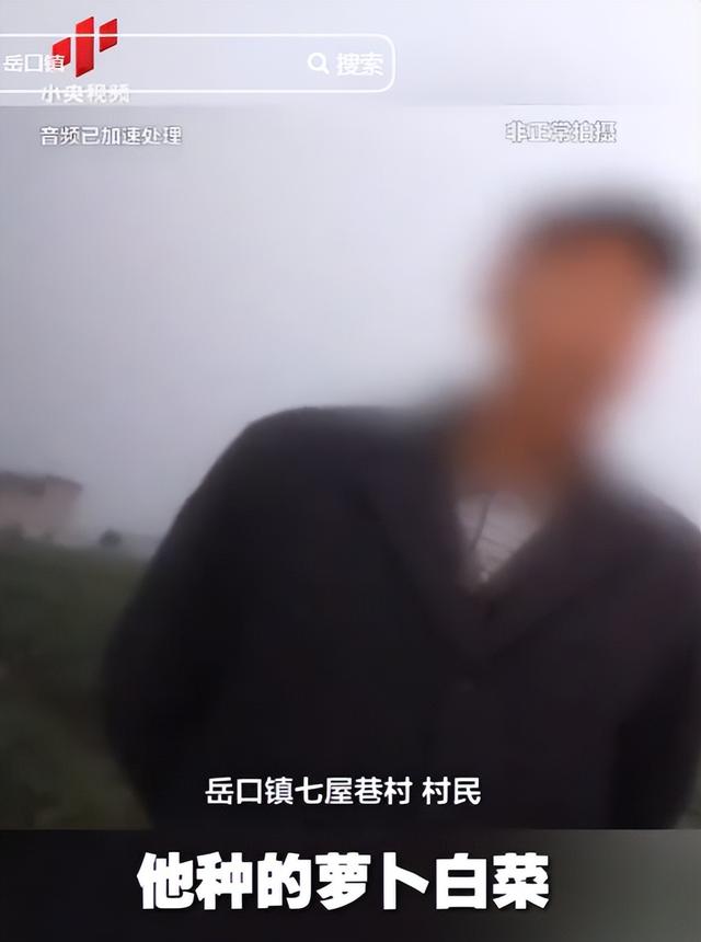 央视曝光毒红薯！商户主动投毒，流窜至全国多地，背后利益链曝光