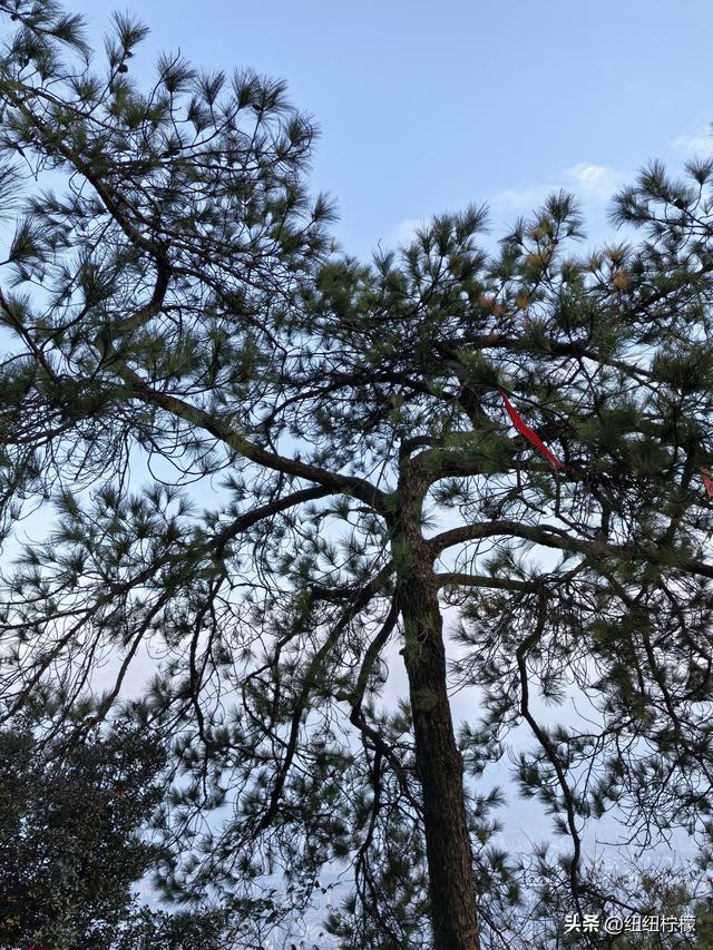 户外徒步之挑战缙云九峰，从健身梯道到狮子峰，走了四小时