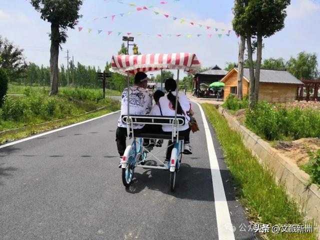 新洲景区集体“喊话”：老师，您辛苦了！这天请您来玩！
