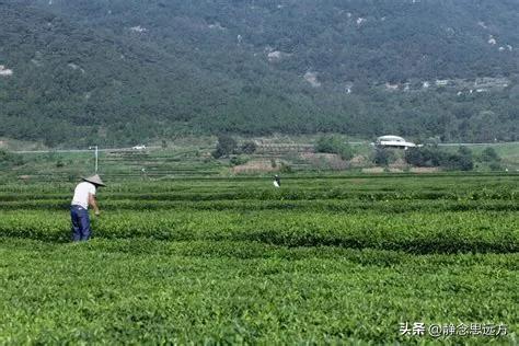 在河南长大的我去了趟山东日照,真羡慕当地人的生活,你们猜为啥
