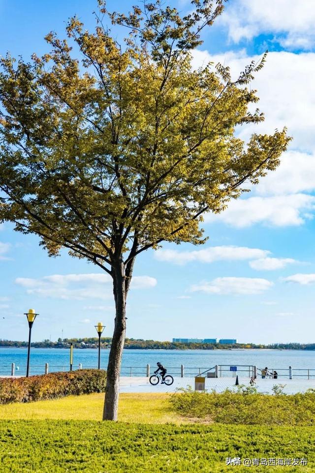 唐岛湾，美得如此满分！