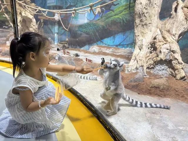 临沂太会玩了！你的短途出行计划，一键收藏