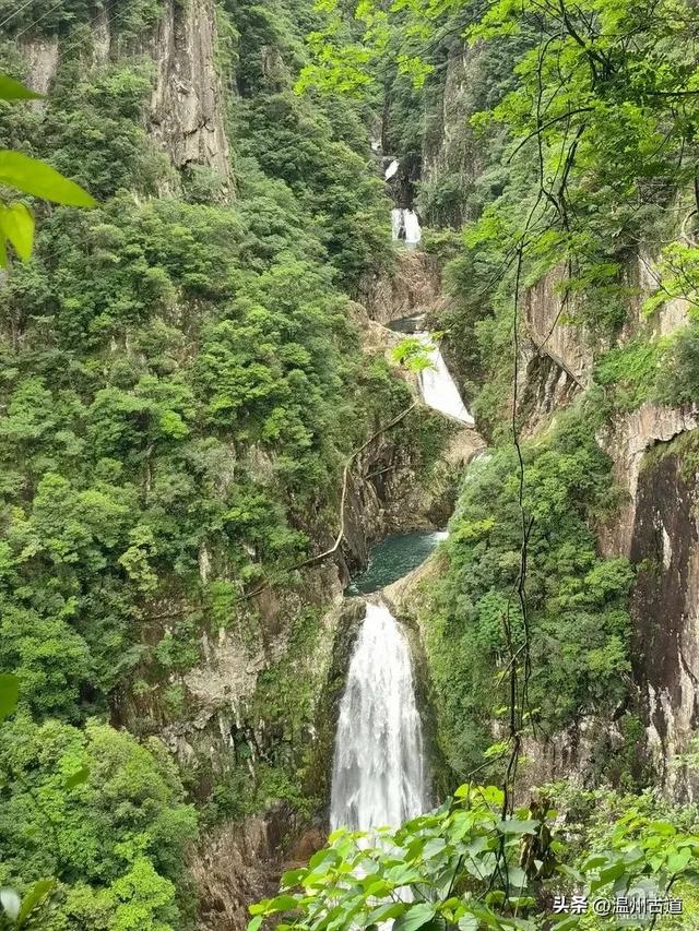 温州这个亲子游玩胜地、植物自然课堂孩子玩嗨家长不累
