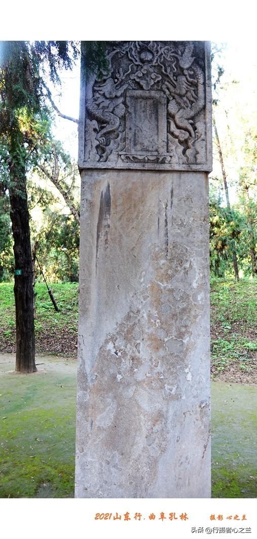 山东行游影记（226）—曲阜孔林（二）