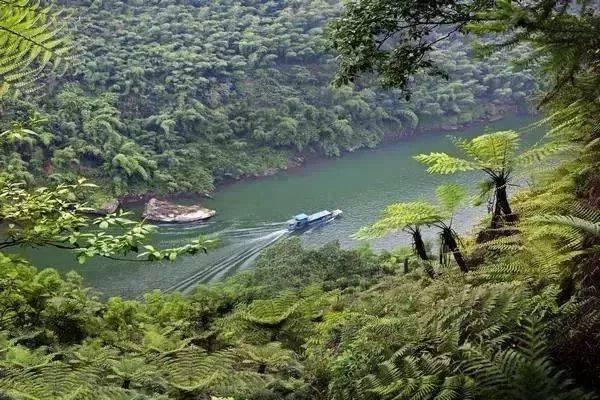 这个五一游四川