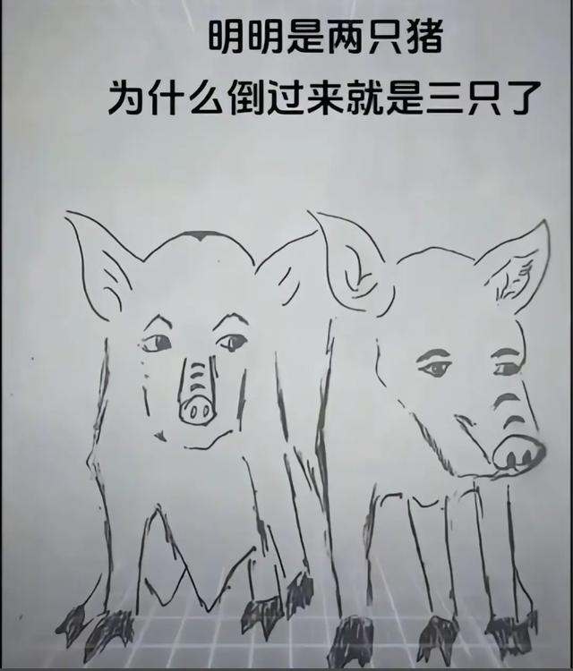 这些“搞笑图片”，千万别再蹲坑的时候看????