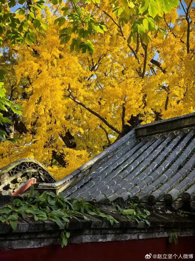 连发两篇！赵立坚推介日照这一美景：每一帧都是壁纸！