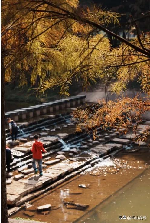 骑遇坪山① | 宝藏“高颜值”骑行线,拍出森系大片刷爆朋友圈