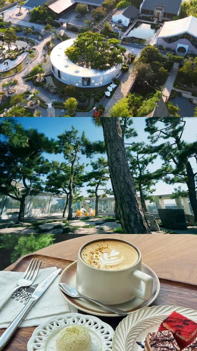 临沂，你真的好风光！！