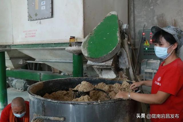 古韵新姿话成县：山水人文与产业的交响