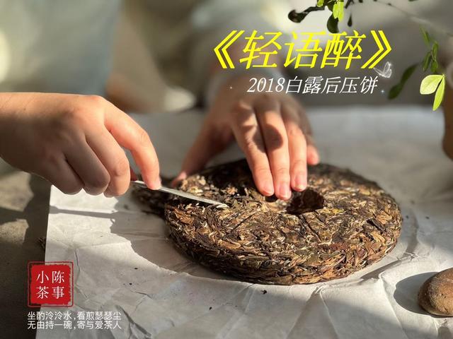 秋天为什么要多喝老白茶？2个难以拒绝的优势，看看你喝对了吗？