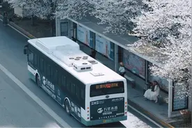 赏樱花、追汉马，武汉公交为你助力图片