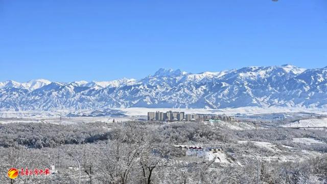 听我的，雪后的乌鲁木齐，真的能治愈一切！