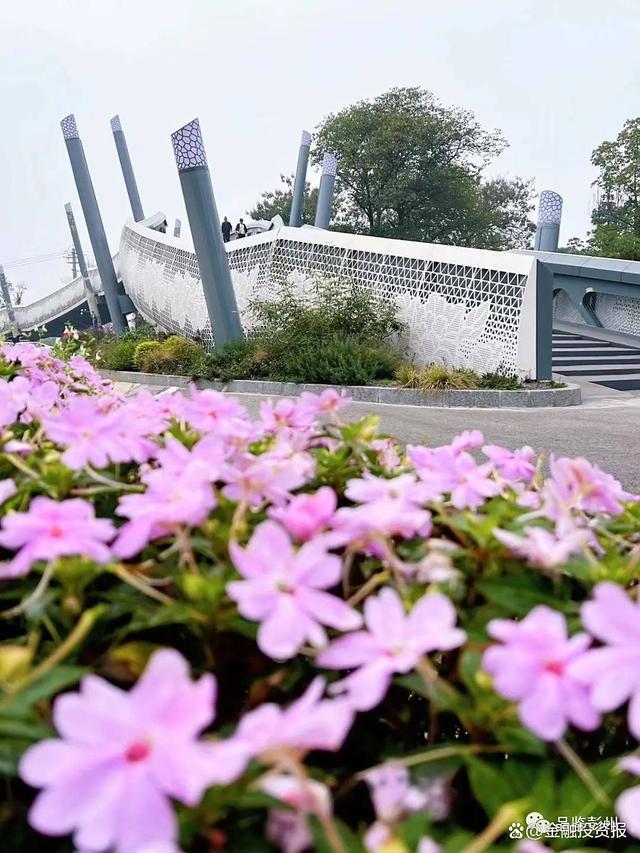彭州再摘国际建筑大奖！白鹿音缘桥，让世界听见山水与旋律的共鸣