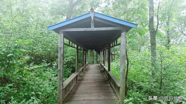 探秘三江之巅：桦南七星峰国家森林公园纪行