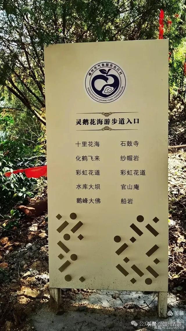 著名的赏李花胜地！这个书圣王羲之后裔居住地的千年古村你可去过