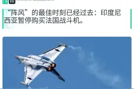 印尼暂停购买阵风战斗机，表示需要重新评估其性能！图片