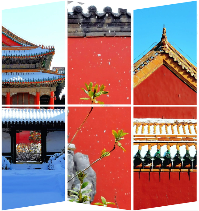 全网都在等的沈阳故宫雪景，来了→