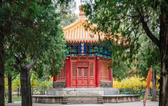 北京第一座城市公园，门票仅3元，却被很多游客当作进故宫的捷径