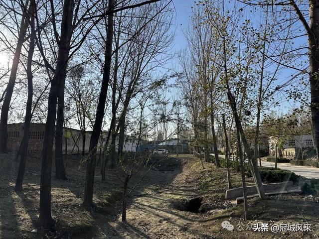 冠县乡韵·贾镇洼里村