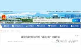 明起报名！青岛一区发布选聘公告图片