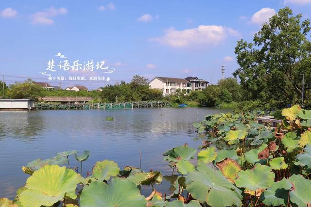 绍兴上虞白马湖畔的打卡胜地，人文气息藏于湖光山色，景美但人少