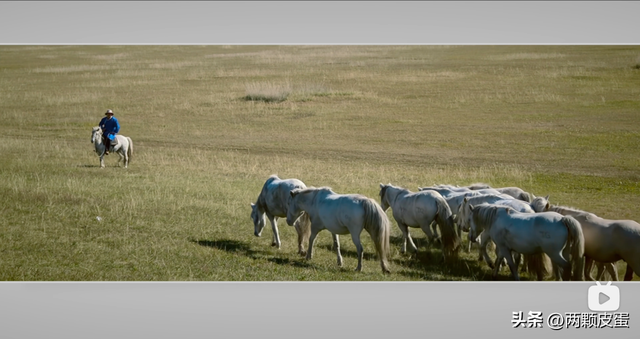 Find X9 Pro，Live Photo 到底有什么用？