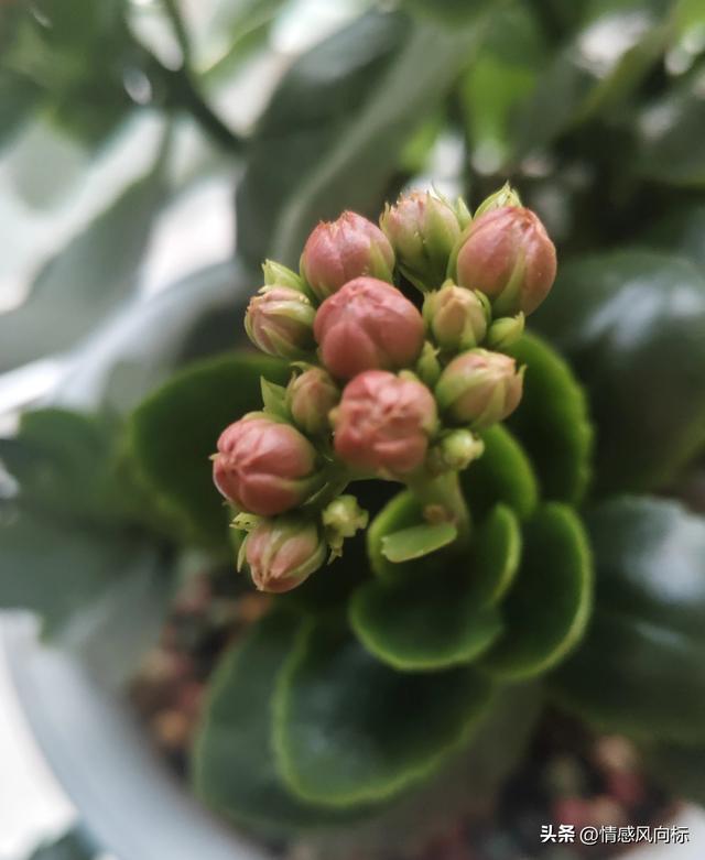 不要让任何人零成本接近你：保护自己，建立健康关系的智慧之道