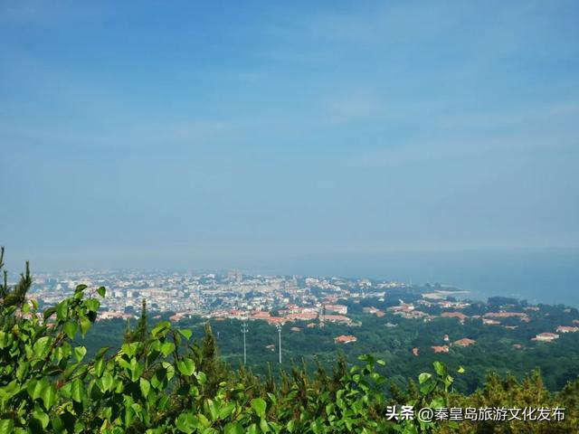 秦皇岛,凭什么成为TOP1?