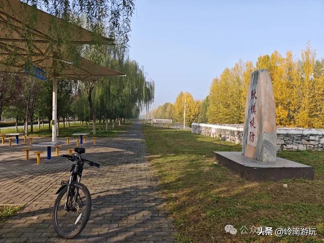 从西安出发1小时，隐藏在高陵河堤路边水上森林，美的令人窒息！