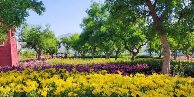 黄河三峡盛开民族团结之花——临夏州永靖县“文旅融合+民族团结”发展纪实