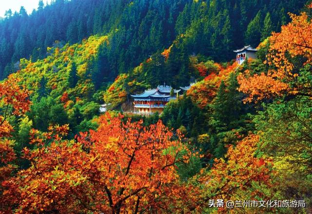 嗨玩兰州！国庆、中秋双节前后兰州文旅推出百项群众文化活动指南