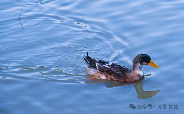 九月：敦煌飞天公园秋色浓