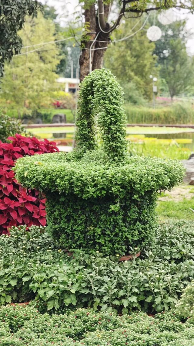 国庆旅游推荐 | 西安植物园邀您共赴秋季花宴