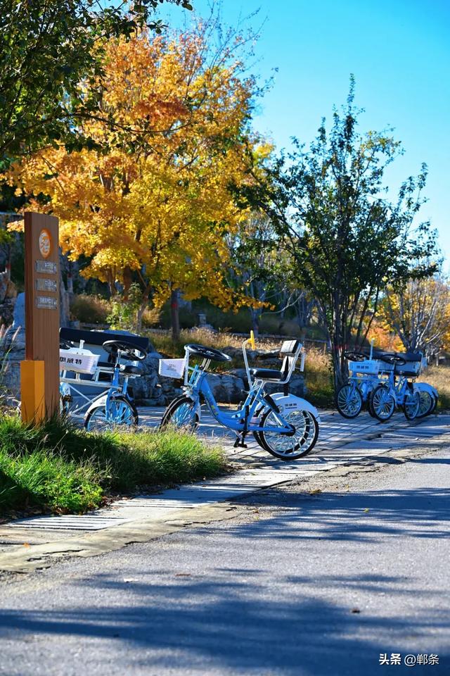 武安洺湖的初冬超治愈