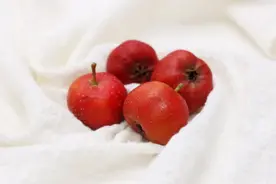 吃多了肚子胀、不消化，妙用一个中成药，助消化、除油腻、健脾胃图片