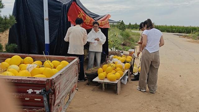 8月21日 游览红碱淖景区，前往统万城文化遗址，中途买瓜
