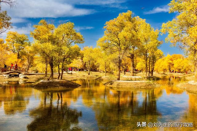 10月额济纳，金色胡杨林里，探寻中国最美秋天！