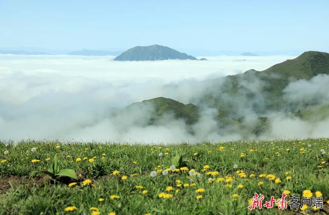 “哪儿凉快到哪儿待着去”，这句话真不是骂人