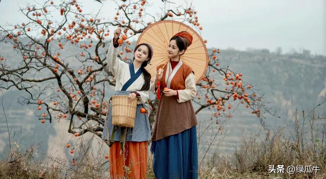 有人说，不就是个彬州烂怂柿子，有啥好拍！