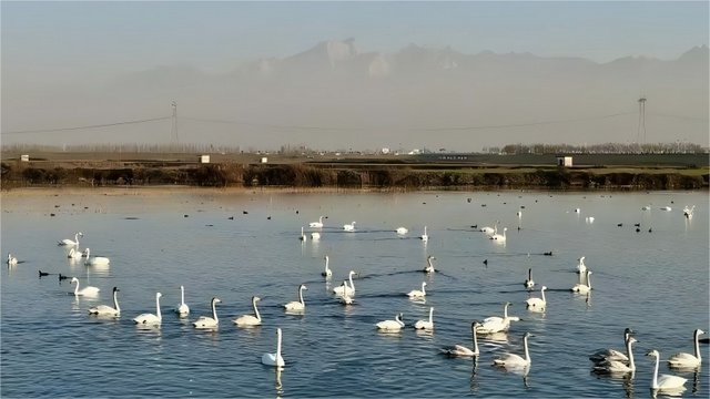 冬日的渭南，我给你准备了“三件套”