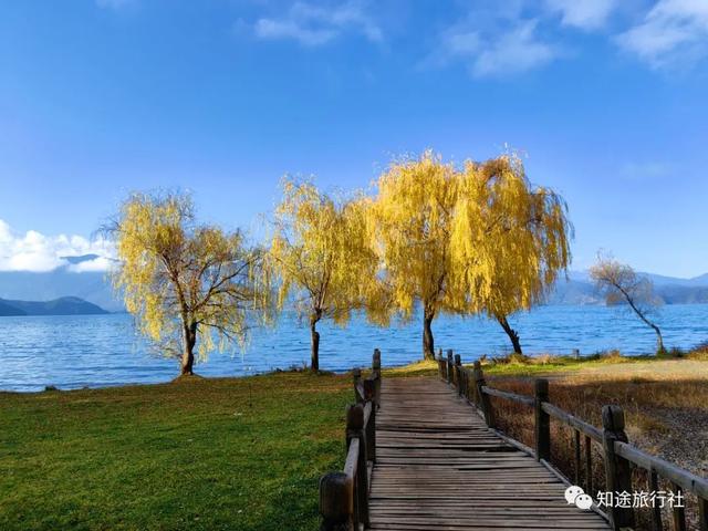 一年中最后一场华丽的秋色，鹤庆泸沽湖休闲5天游！11月底出发