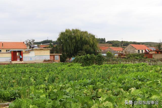 组图：牟平水道镇上朱车村掠影