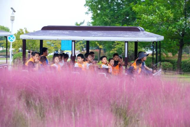 “粉色秘境”已上线！初冬必打卡！位置就在…