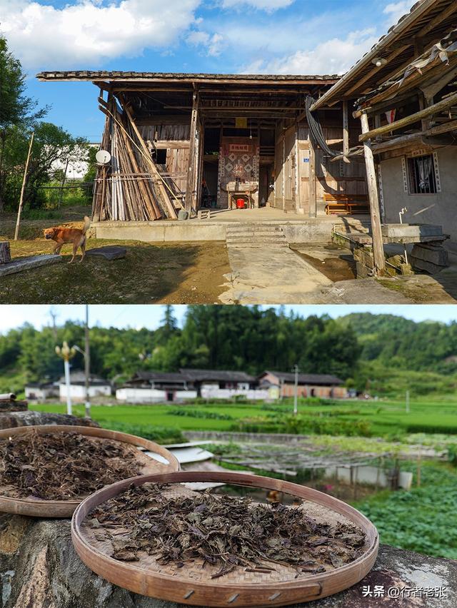 走遍福建古村落，罗宁古道上的八百年古村，藏在坑里叫“深坑”