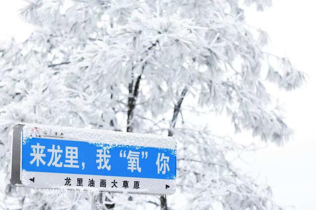 滑雪盛宴！龙里油画大草原冬日狂欢指南