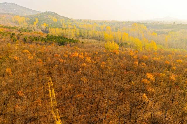 泗水县万紫千红旅游区：静谧而斑斓的生态画卷